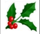 Holly.jpg Holly